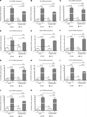 Mild Attenuation of the Pulmonary Inflammatory Response in a Mouse Model of Hereditary Hemochromatosis Type 4